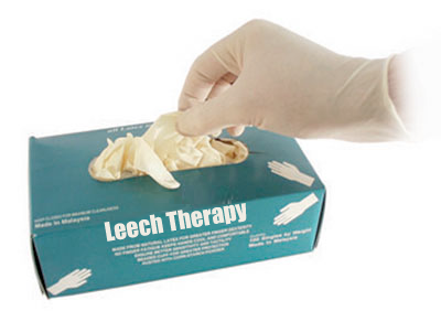 Leech Therapy Gloves