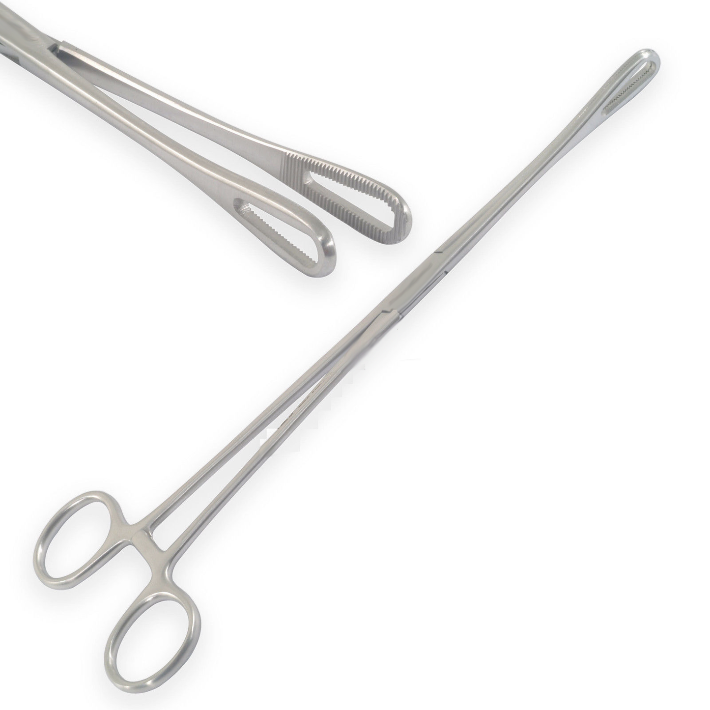 Leech Forceps for Handling